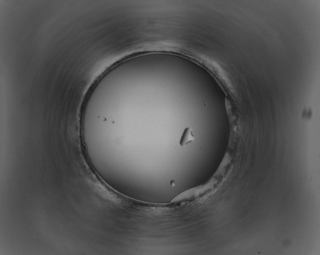 X0000091511184200708241623