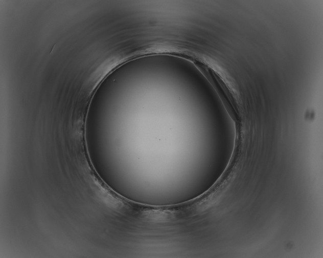 X0000091511185200708241623