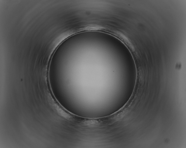 X0000091511186200708241623