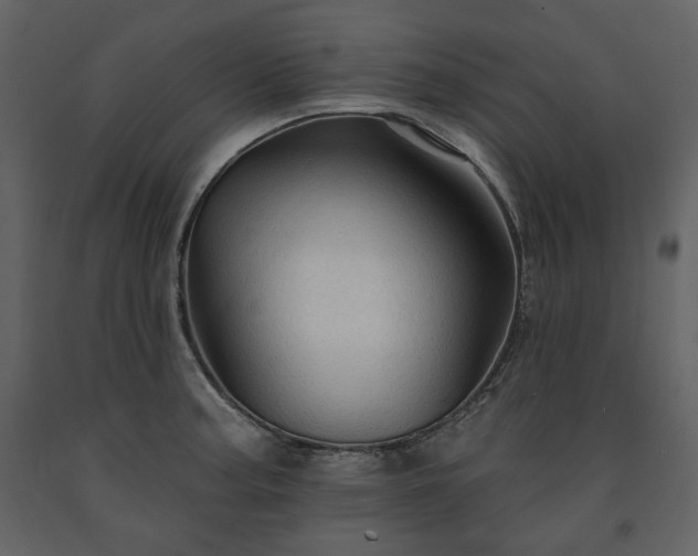 X0000091511187200708241623