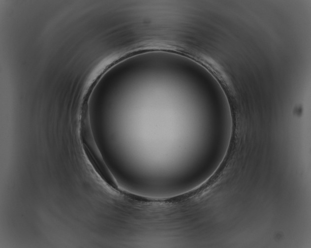 X0000091511188200708241623