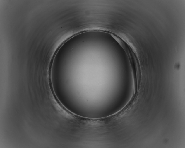 X0000091511189200708241623