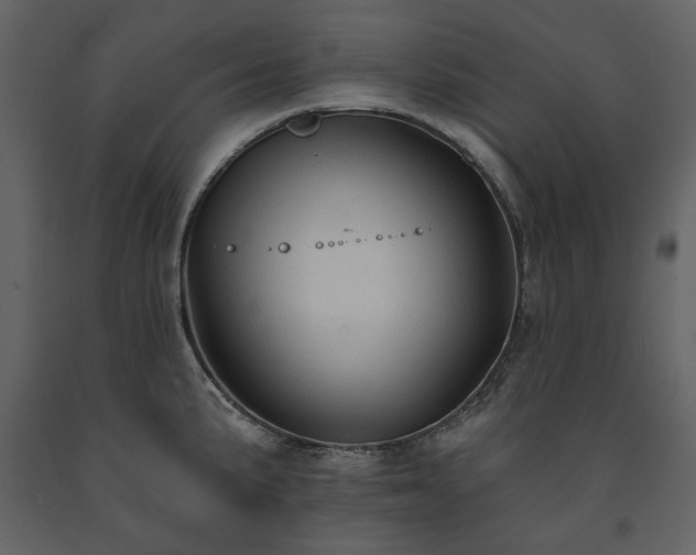 X0000091511191200708241623