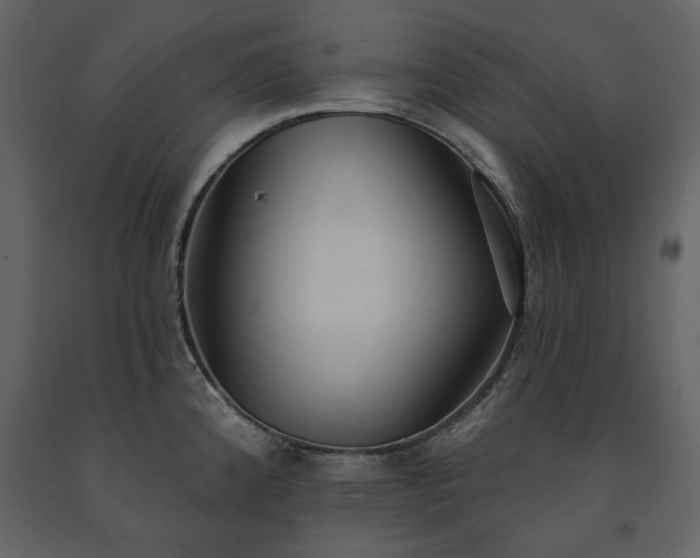 X0000091511192200708241623