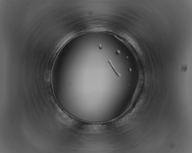 X0000091511193200708241623