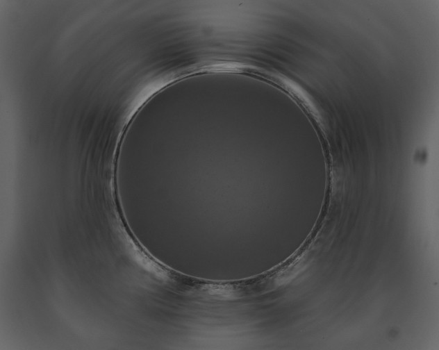 X0000091511194200708241623