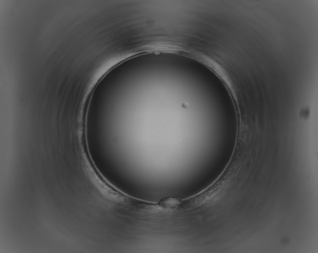 X0000091511195200708241623