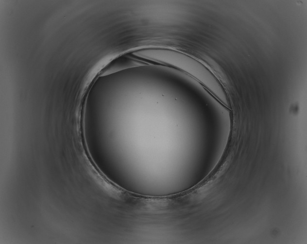 X0000091511196200708241623