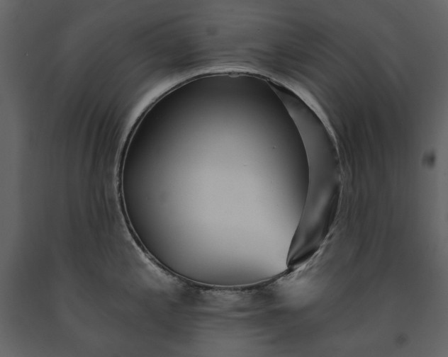 X0000091511197200708241623