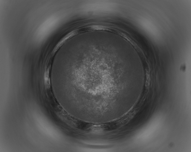 X0000091511198200708241623