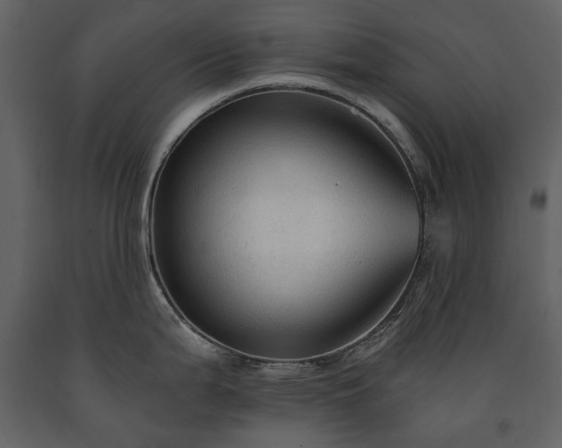 X0000091511199200708241623