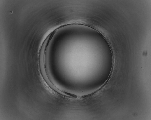 X0000091511200200708241623