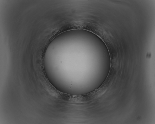 X0000091511201200708241622