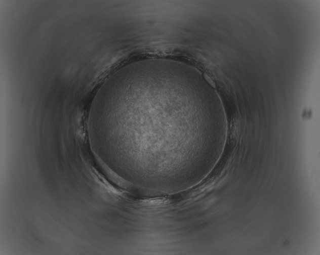 X0000091511202200708241622