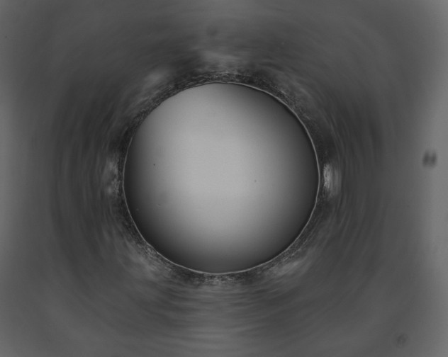 X0000091511203200708241622