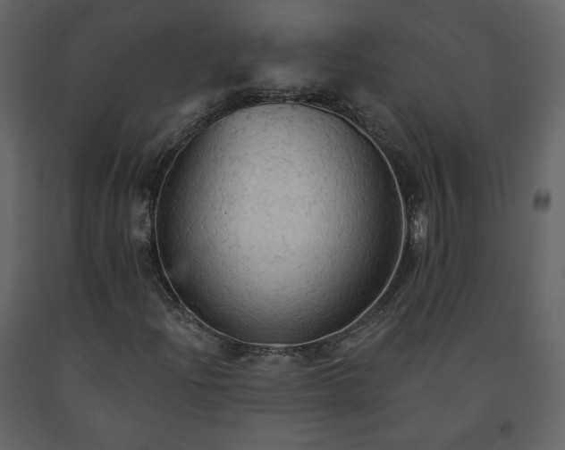 X0000091511204200708241622