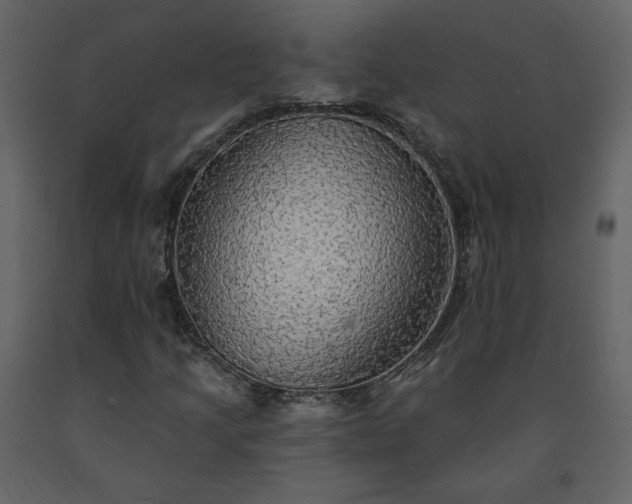 X0000091511205200708241622