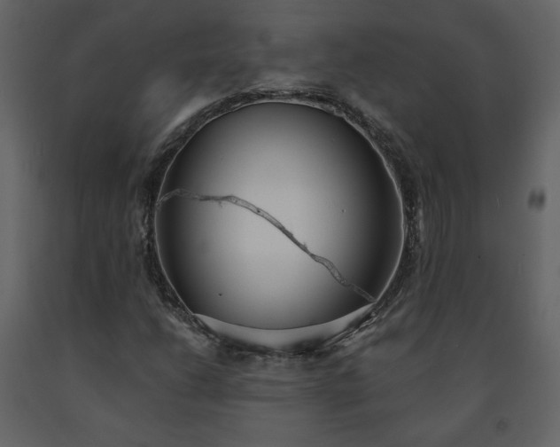 X0000091511206200708241622