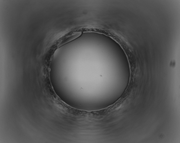 X0000091511207200708241622