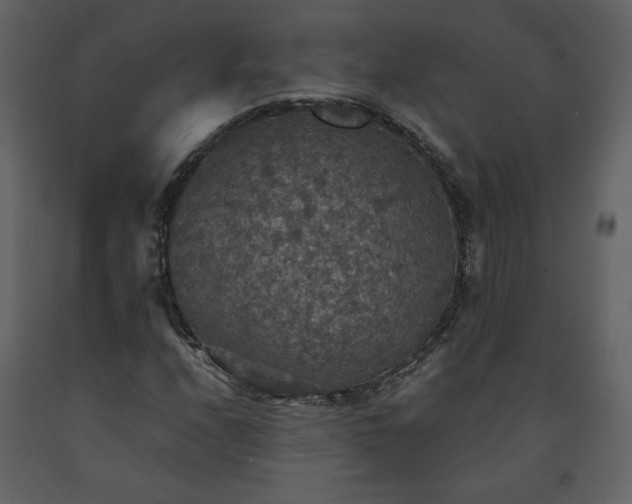 X0000091511208200708241622