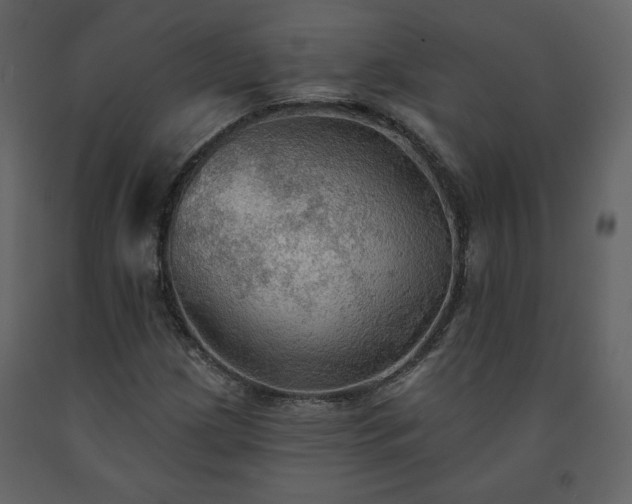 X0000091511209200708241622