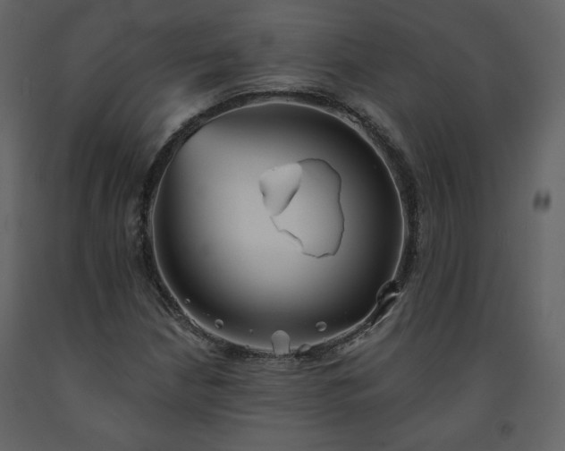 X0000091511210200708241622