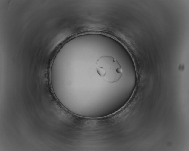 X0000091511211200708241622