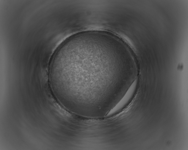 X0000091511212200708241622