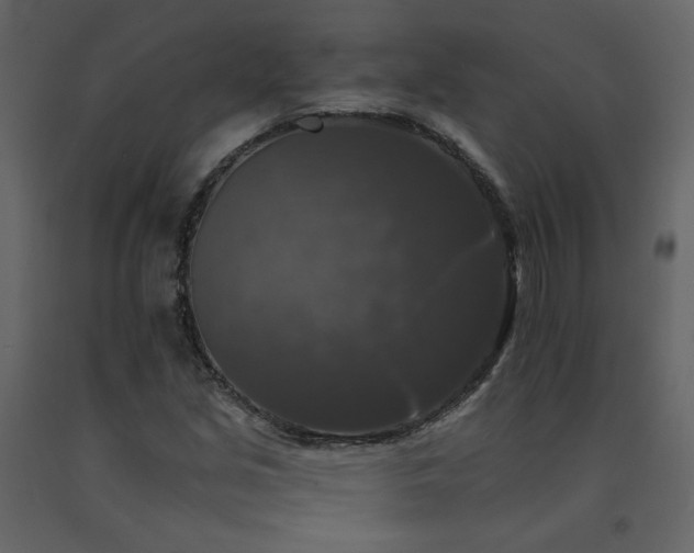 X0000091511213200708241622