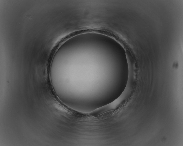 X0000091511214200708241622