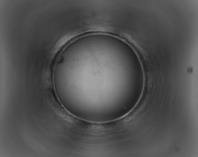 X0000091511215200708241622