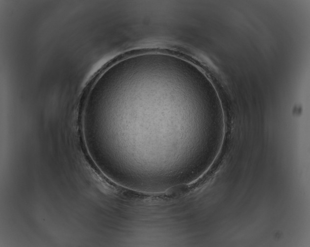 X0000091511216200708241622