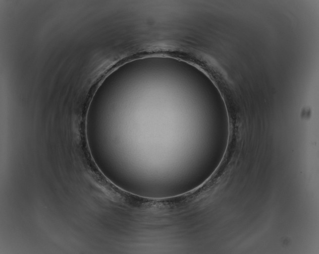 X0000091511217200708241622