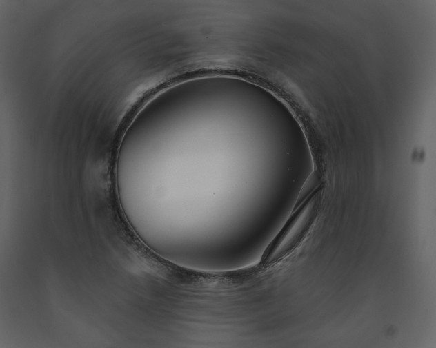 X0000091511218200708241622