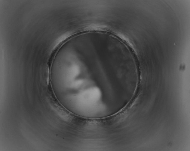 X0000091511219200708241622