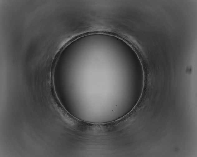 X0000091511220200708241622