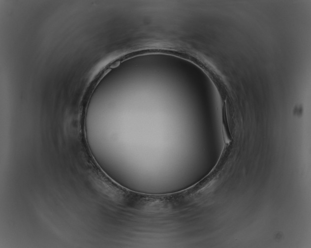 X0000091511222200708241622