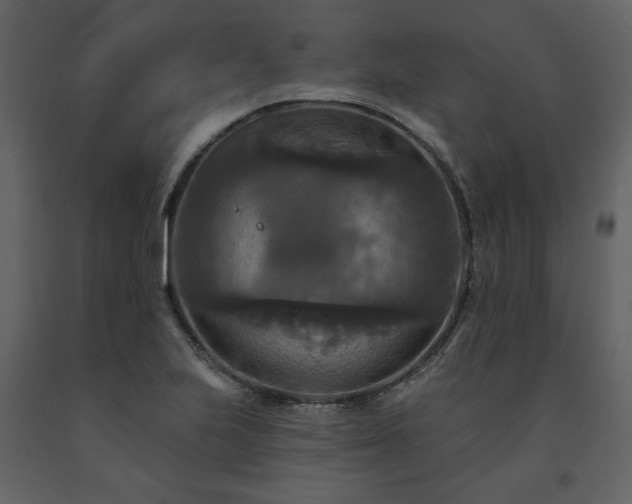 X0000091511223200708241622