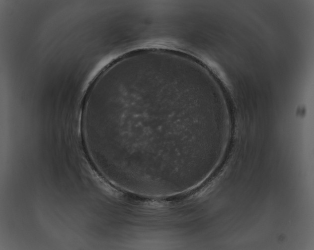 X0000091511224200708241622