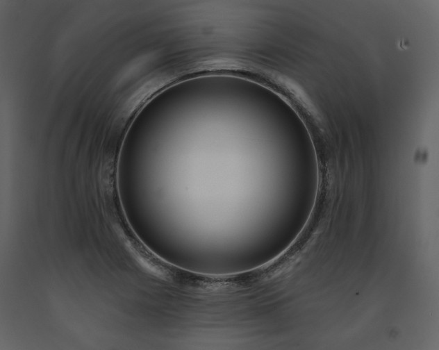 X0000091511225200708241622