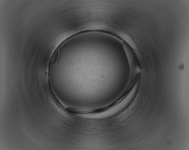 X0000091511226200708241622