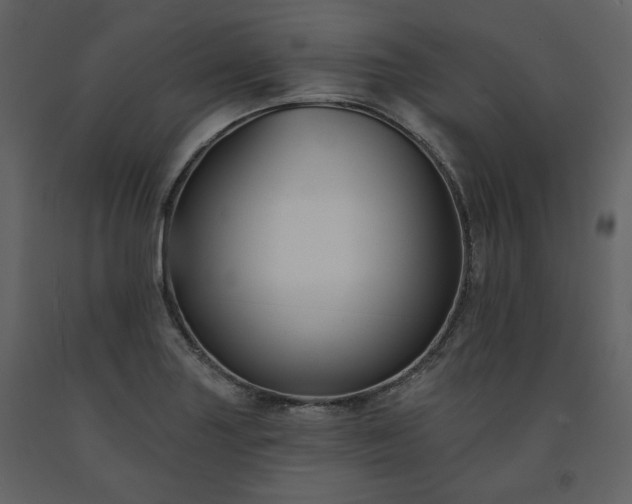 X0000091511227200708241622