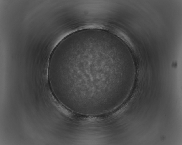 X0000091511228200708241622