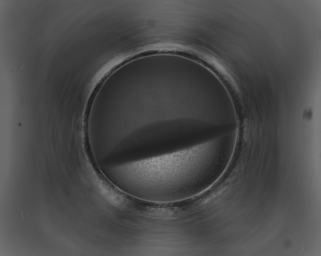 X0000091511229200708241622