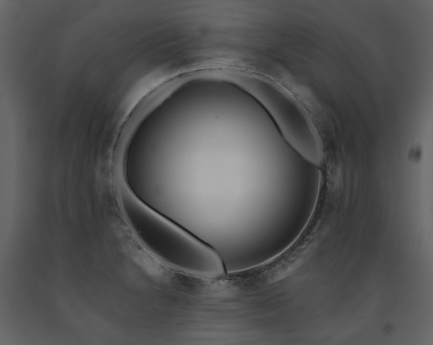 X0000091511230200708241622