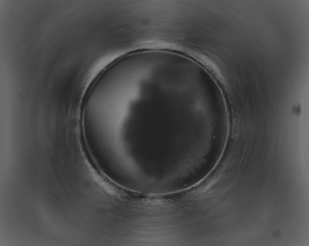 X0000091511231200708241622