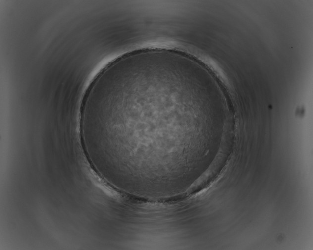 X0000091511232200708241622