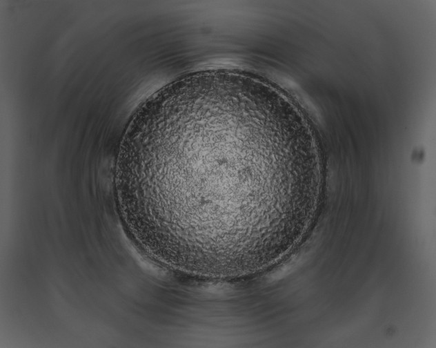 X0000091511233200708241622