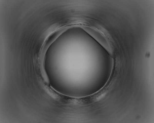 X0000091511234200708241622