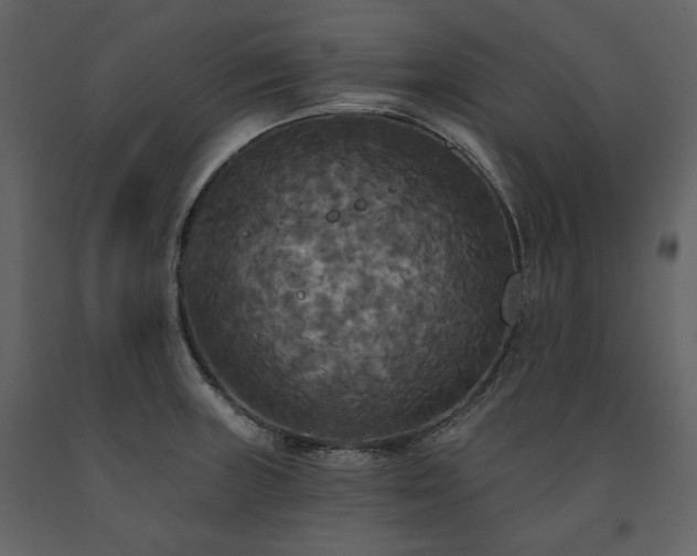 X0000091511235200708241622